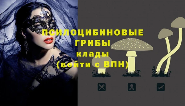 ПСИЛОЦИБИНОВЫЕ ГРИБЫ Анива