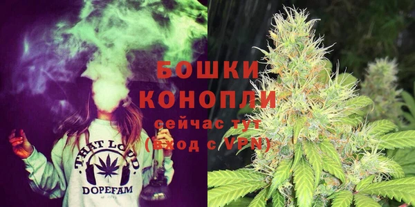 ПСИЛОЦИБИНОВЫЕ ГРИБЫ Анива