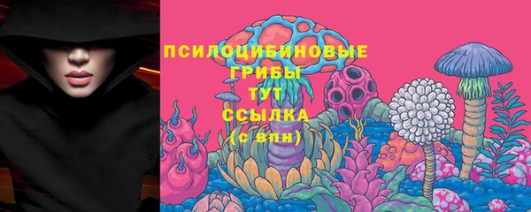 PSILOCYBIN Ахтубинск