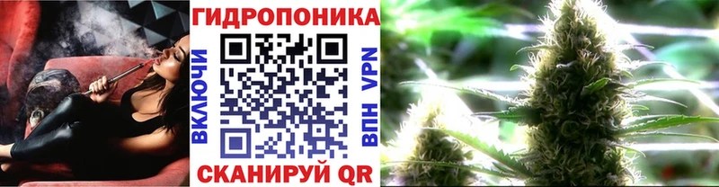 Конопля VHQ  hydra   Змеиногорск  где купить наркоту 